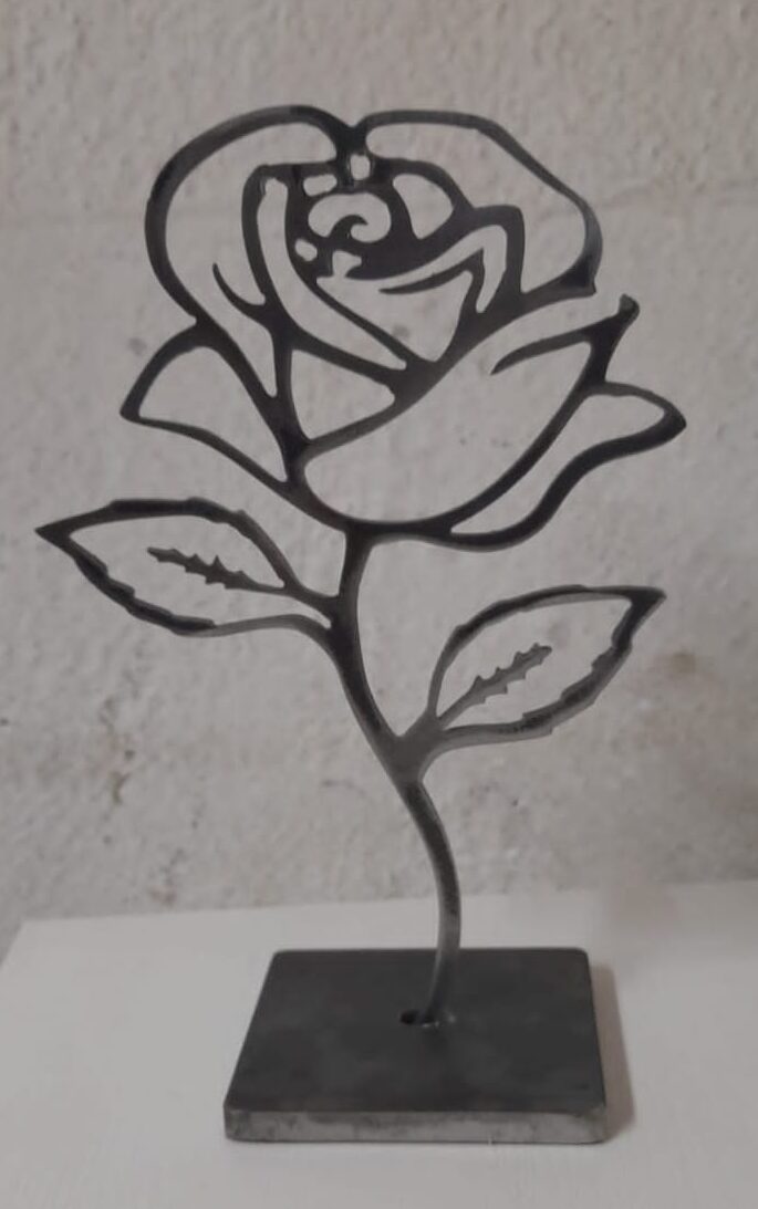rosaplasma